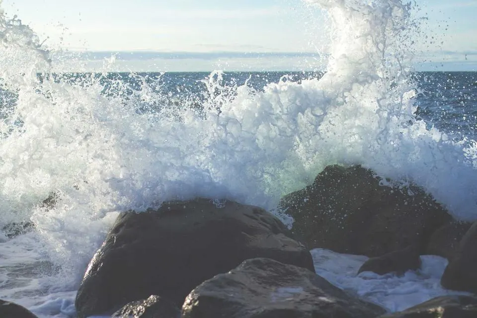 Illustrative photograph for API Developers