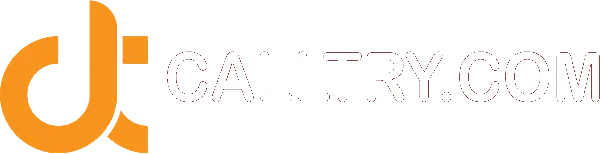 calltrylogo white