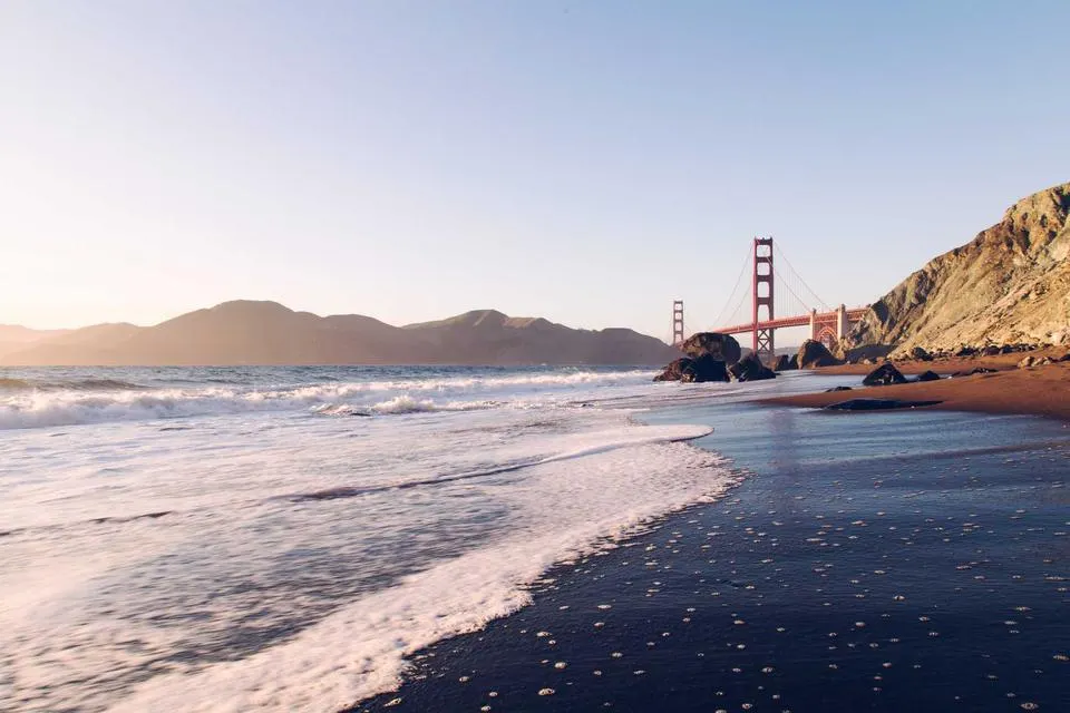 Illustrative photograph for Catalog Management