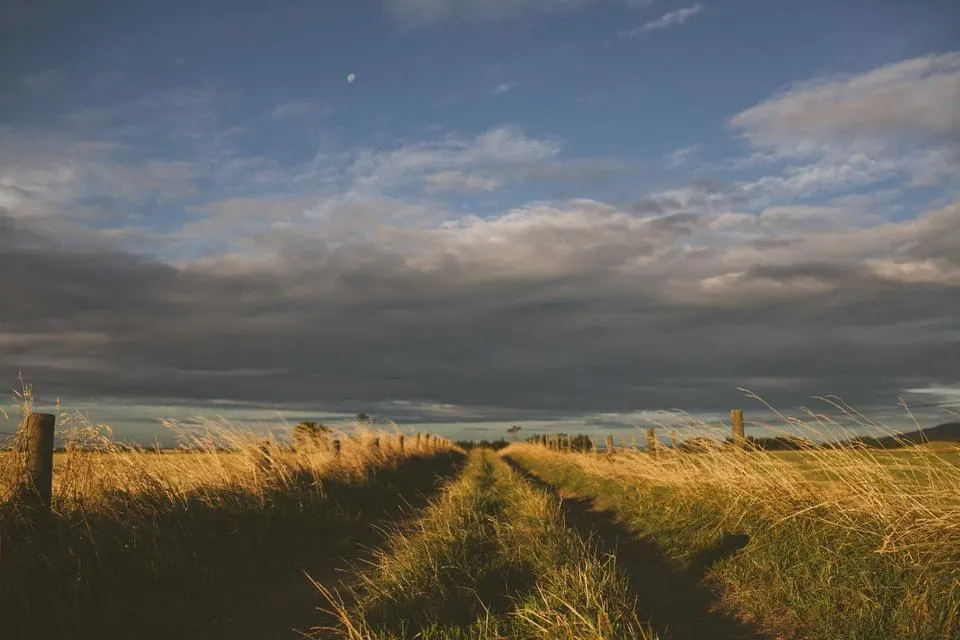 Illustrative photograph for Cloud Performance Optimization
