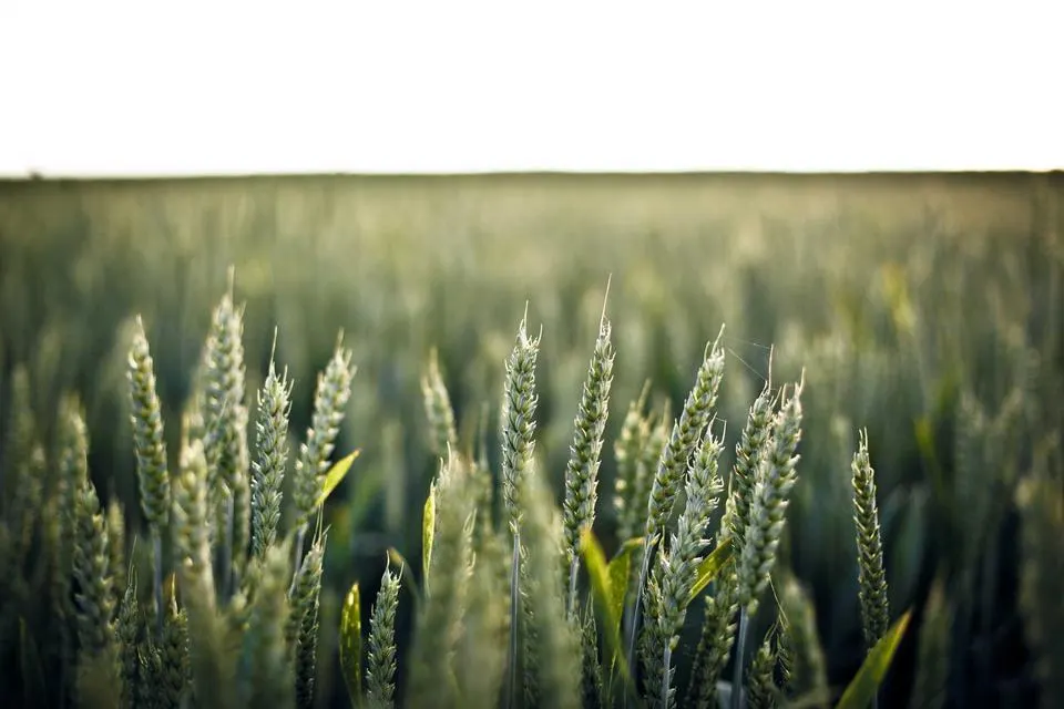 Illustrative photograph for DBA Experts