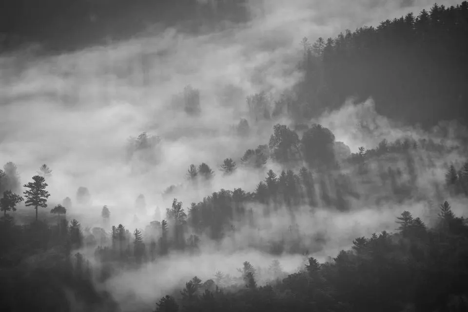 Illustrative photograph for DevSecOps