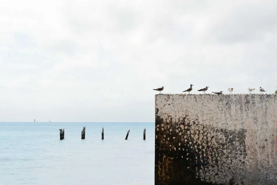 Illustrative photograph for Figma UI Designers