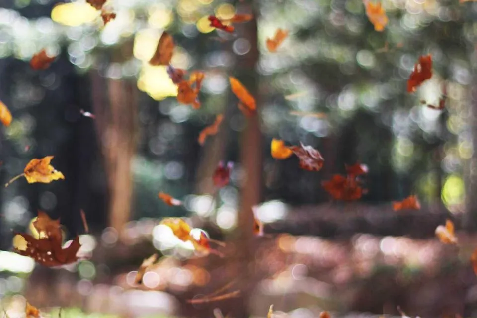 Illustrative photograph for HubSpot Developers