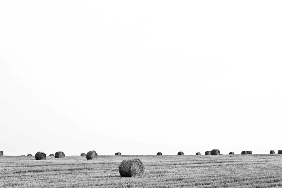 Illustrative photograph for Managed Security