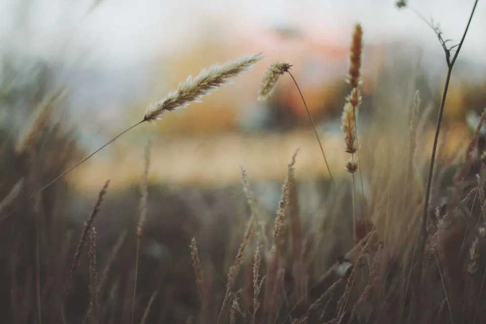 Illustrative photograph for MLOps