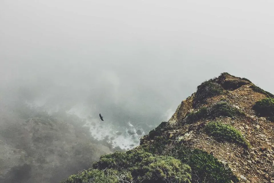 Illustrative photograph for Onboarding Applications