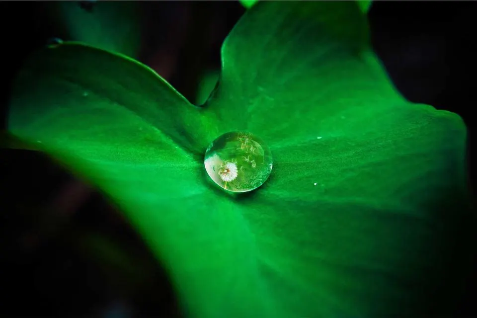 Illustrative photograph for Oracle Migration