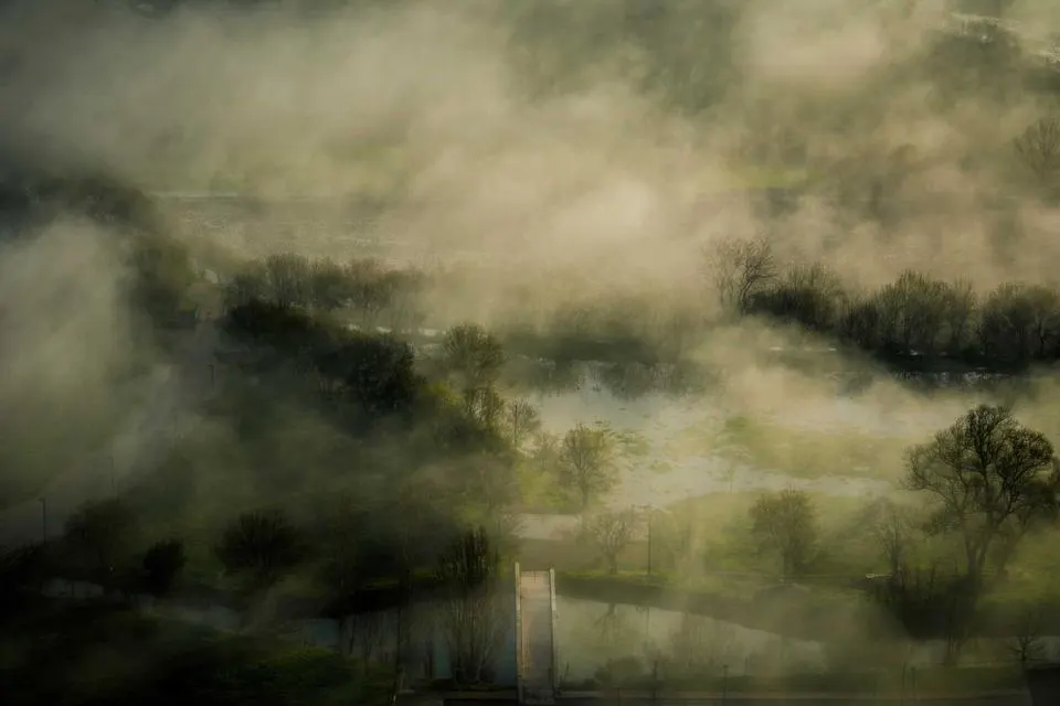 Illustrative photograph for Prestashop