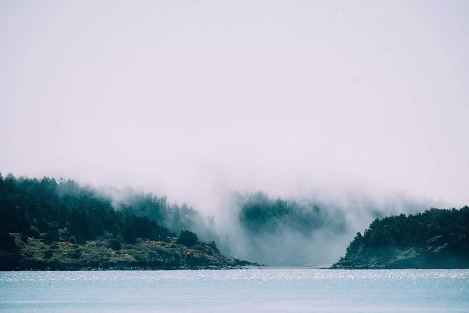 Illustrative photograph for Python-Django Web Developers