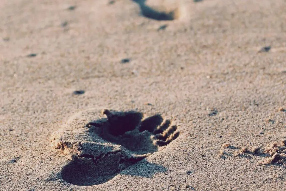 Illustrative photograph for Salesforce Implementation