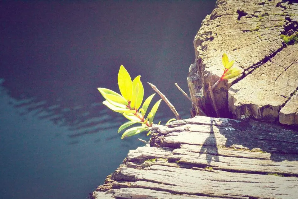 Illustrative photograph for Website Support & Maintenance