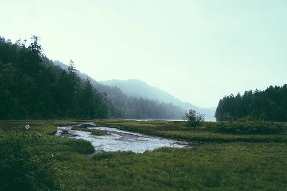 Illustrative photograph for WooCommerce