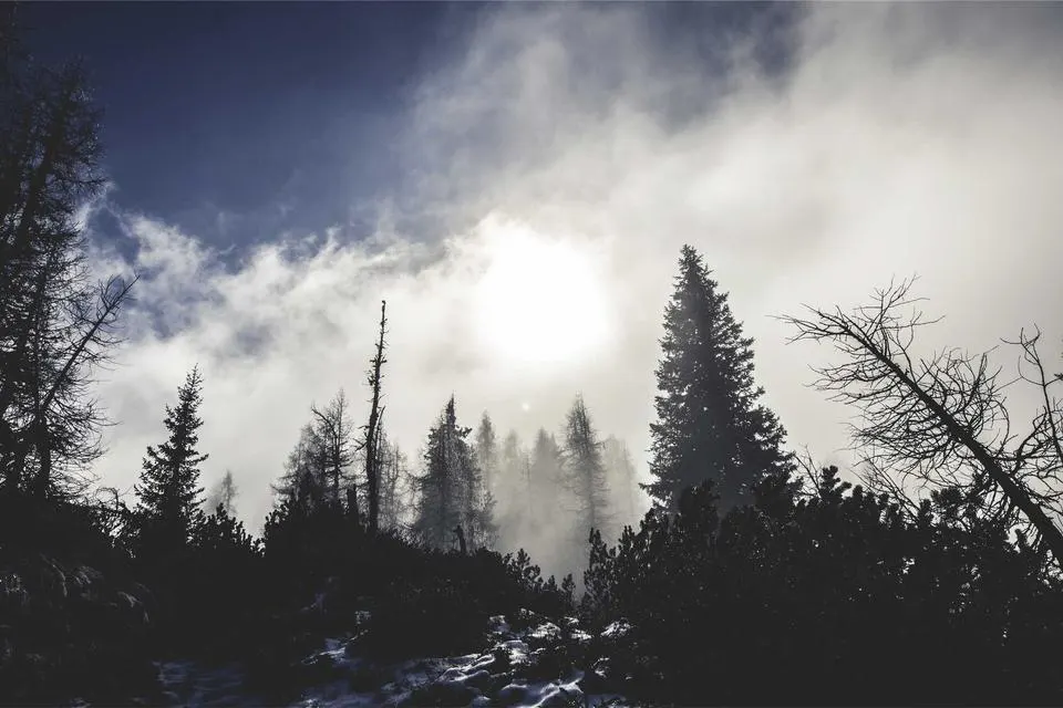 Illustrative photograph for WordPress Migration