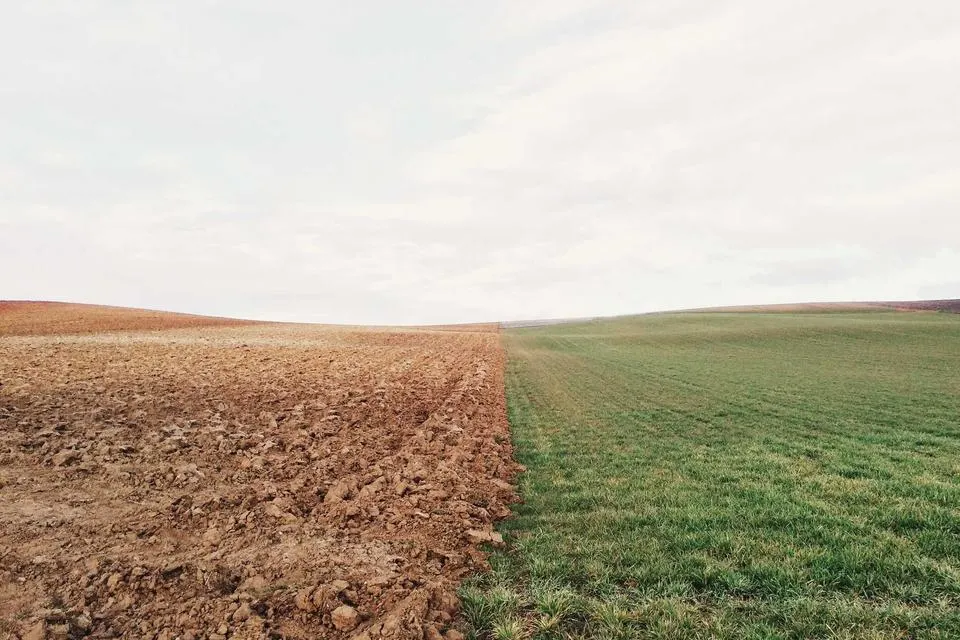 Illustrative photograph for WordPress to Strapi