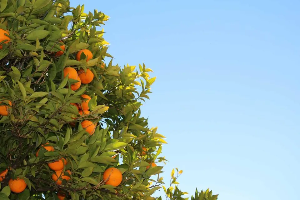 Illustrative photograph for Zoominfo Solutions