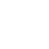 Visit Web Icon